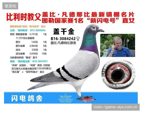 殷若宁前九洞抓3小鸟：从“小鸟”到“全能”——如何在高手云集的高尔夫世界中脱颖而出